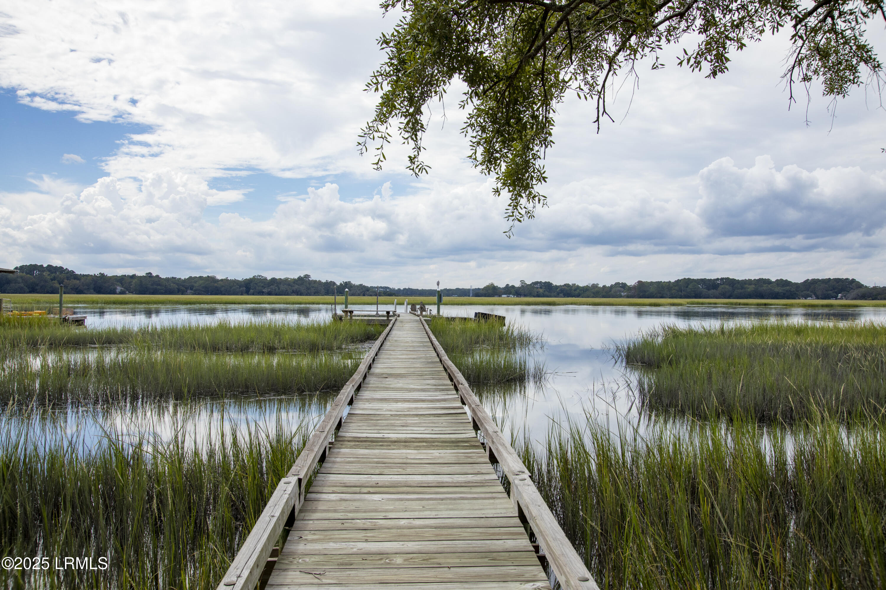 20 Cuyler Lane Seabrook, SC 29940 - Photo 6 of 30 Deepwater Homesite w/ Private Dock $525K