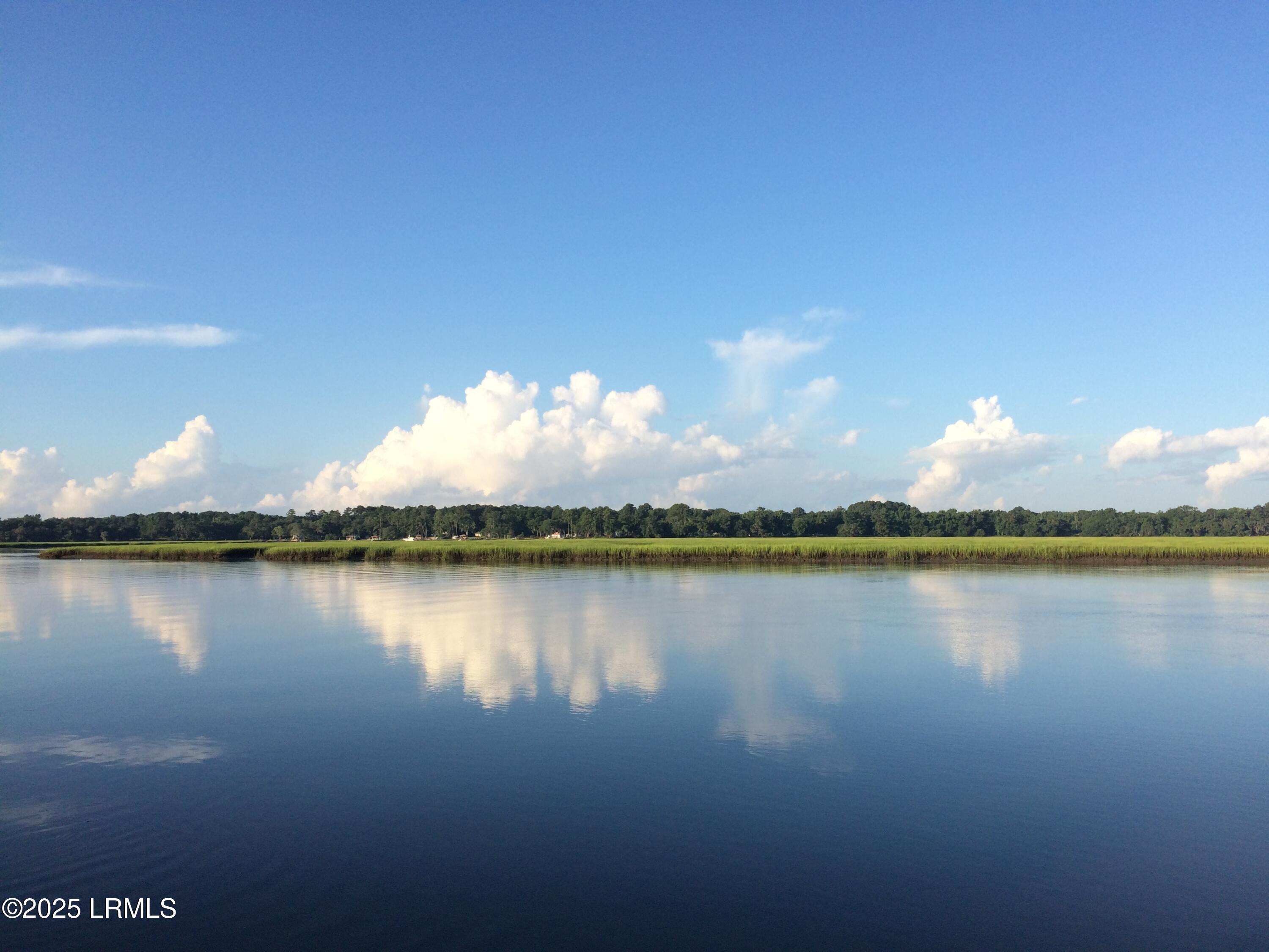 20 Cuyler Lane Seabrook, SC 29940 - Photo 9 of 30 Deepwater Homesite w/ Private Dock $525K