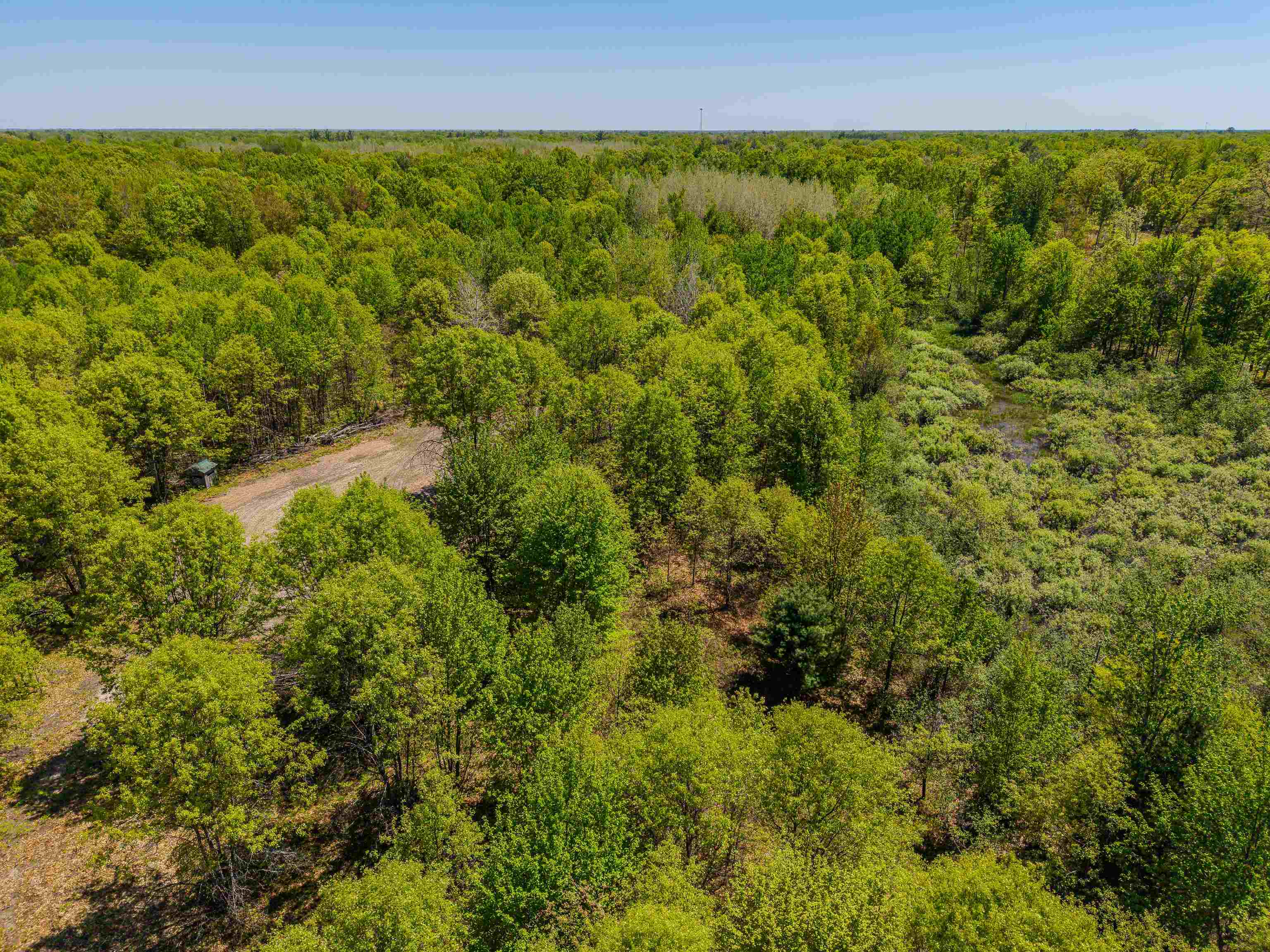 240 Hilts Road Gladwin, MI 48624 - Photo 65 of 97