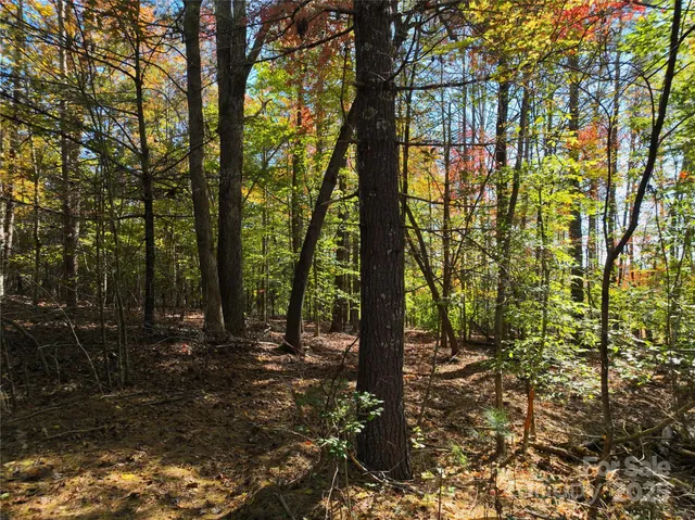 a backyard of a house