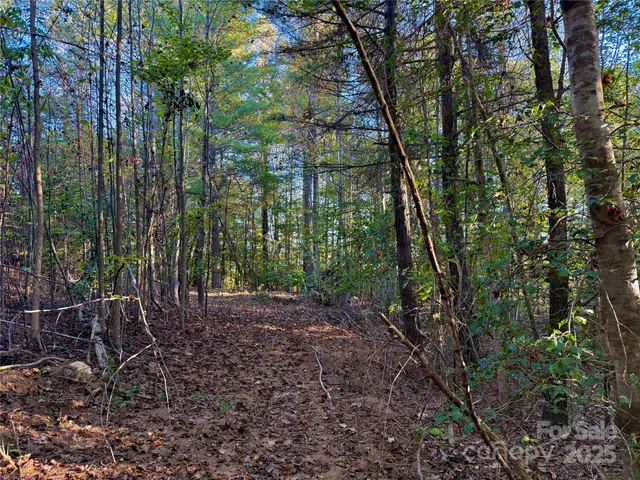 a view of backyard with green space
