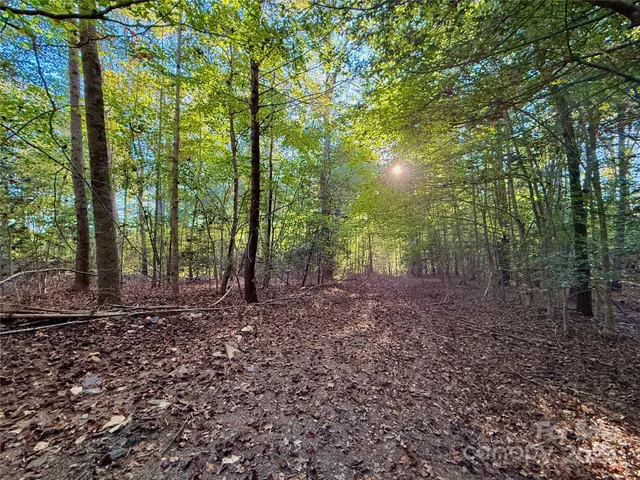 a view of outdoor space and trees