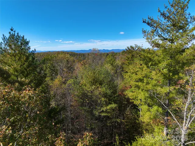 a picture of flowers