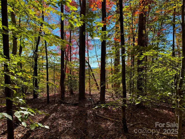 a view of outdoor space and garden