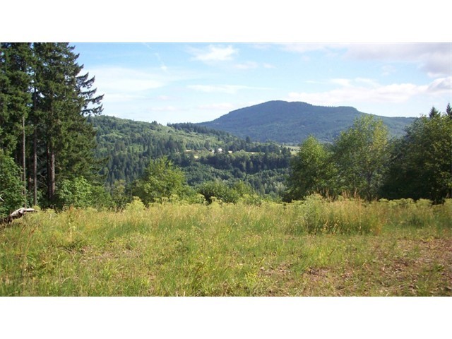 5651 Lewis River Road Ariel, WA 98603 - Photo 14 of 25 Gallery Image 14