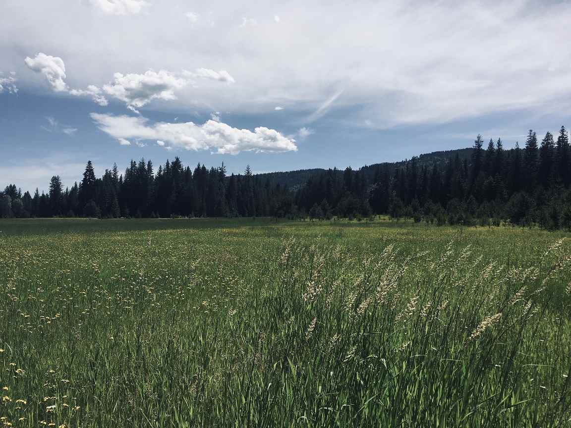 201 Barber Road Cusick, WA 99119 - Photo 12 of 22