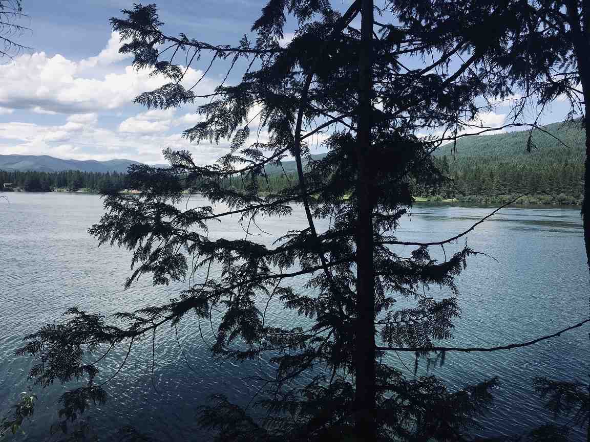 201 Barber Road Cusick, WA 99119 - Photo 8 of 22