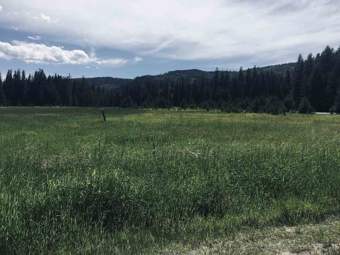 201 Barber Road Cusick, WA 99119 - Photo 9 of 22