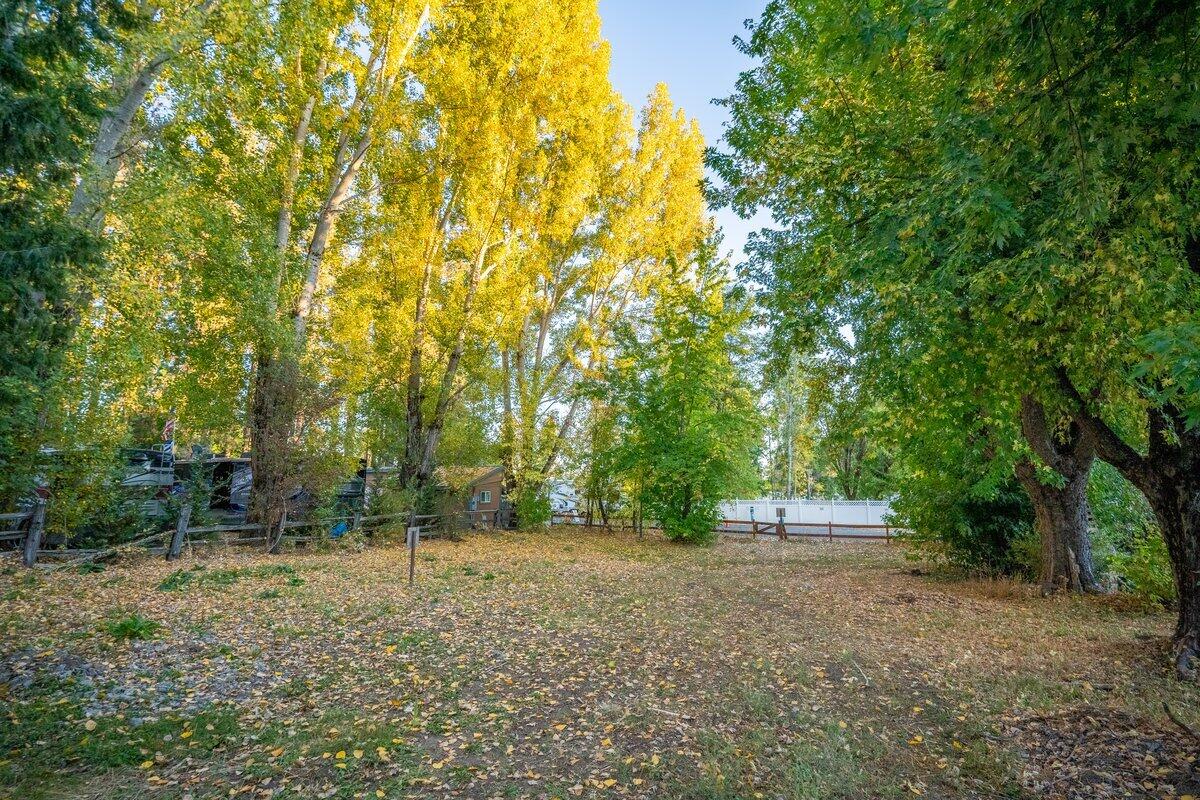 110 Squaw Valley Road McCloud, CA 96057 - Photo 22 of 25 a view of outdoor space with trees