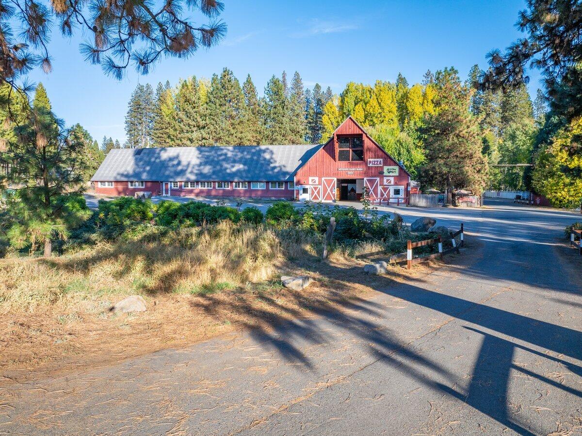 110 Squaw Valley Road McCloud, CA 96057 - Photo 6 of 25 a view of swimming pool with a yard and plants