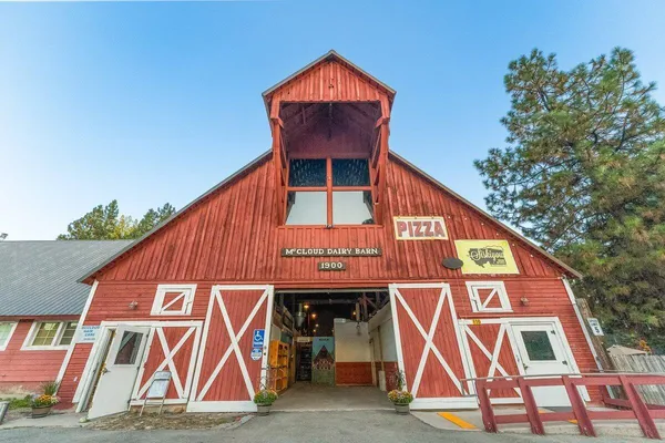 a view of under a large tree