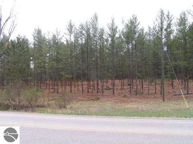 3 South Garfield Road Kingsley, MI 49649 - Photo 1 of 2 1649020.JPG