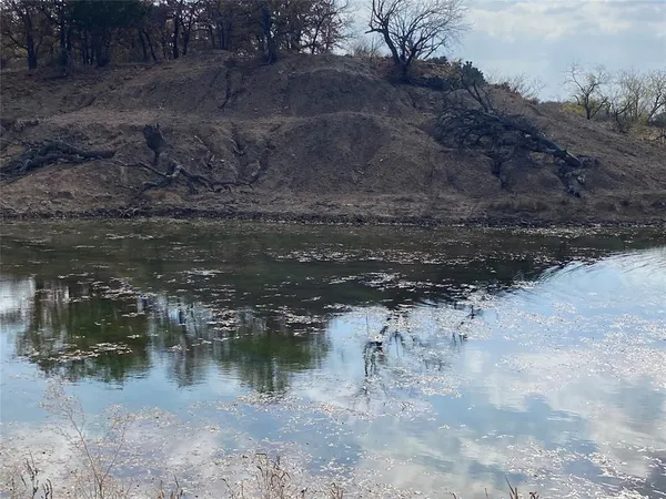 a view of a lake from a yard