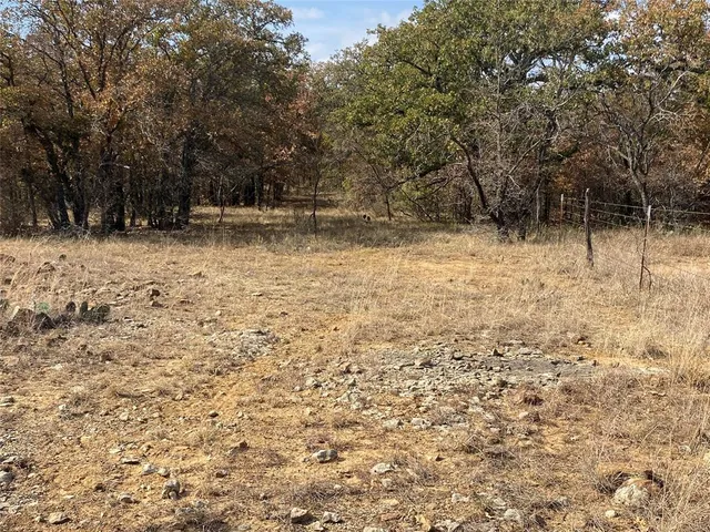 a backyard of a house with lots of trees