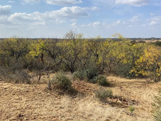a view of an ocean beach