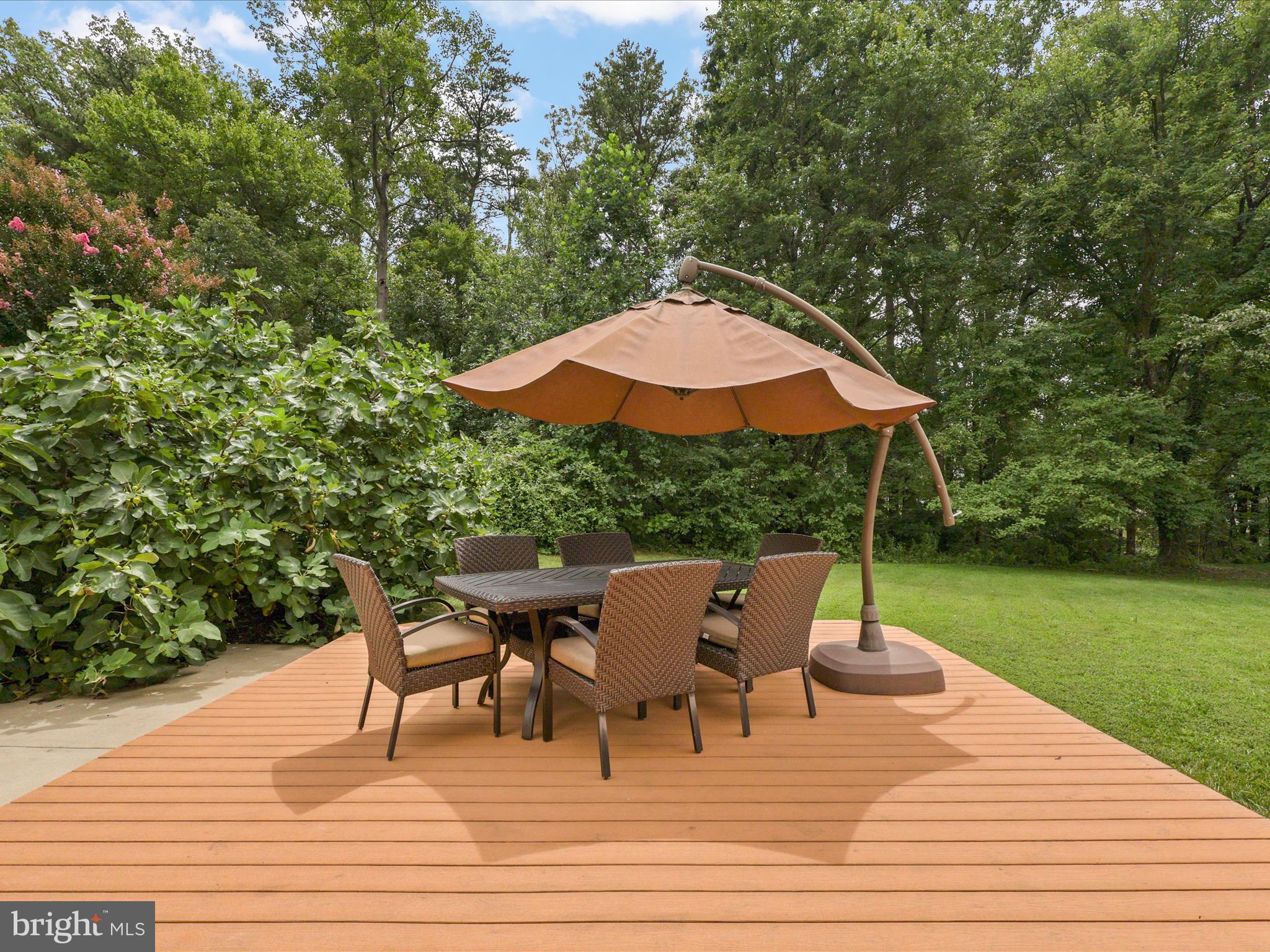 5922 Hall Street Springfield, VA 22152 - Photo 35 of 47 a view of backyard with seating space and trees