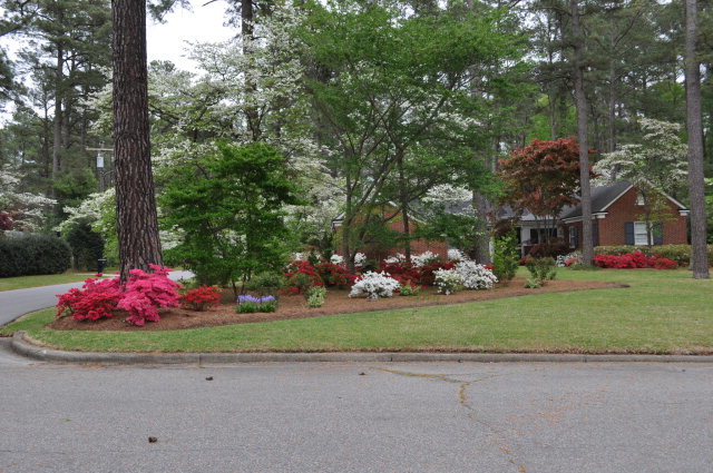 703 Evergreen Road Rocky Mount, NC 27803 - Photo 23 of 23 Additional Photo