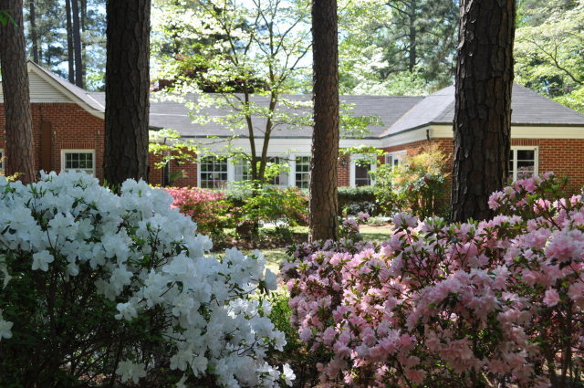 703 Evergreen Road Rocky Mount, NC 27803 - Photo 4 of 23 Additional Photo