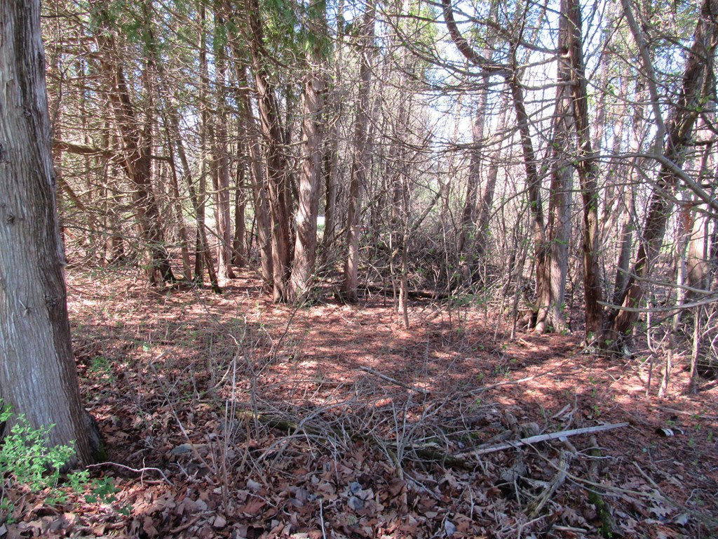 0 Gravelly Point Road Plattsburgh, NY 12901 - Photo 5 of 6 Gallery Image 5