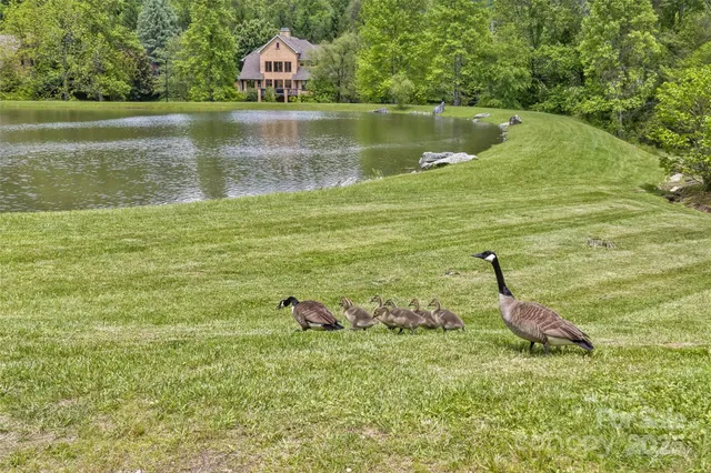 $1,040,000 | 25 Windsong Drive, Fairview, NC 28730