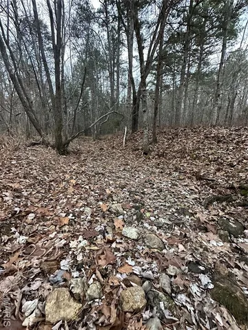 $25,000 | Tbd Tbd, Doniphan, MO 63935