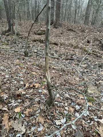 $25,000 | Tbd Tbd, Doniphan, MO 63935