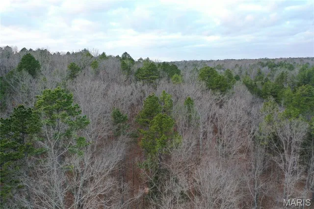 $25,000 | Tbd Tbd, Doniphan, MO 63935