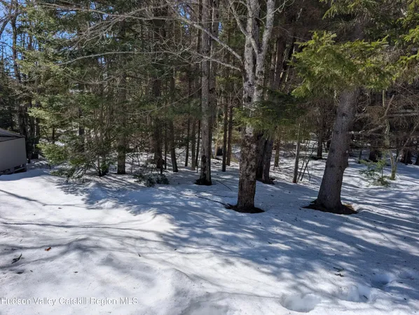 $299,000 | 61 County Road 25, Haines Falls, NY 12436