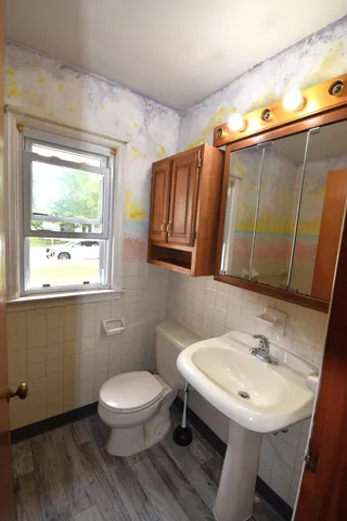 a bathroom with a sink a toilet and a mirror