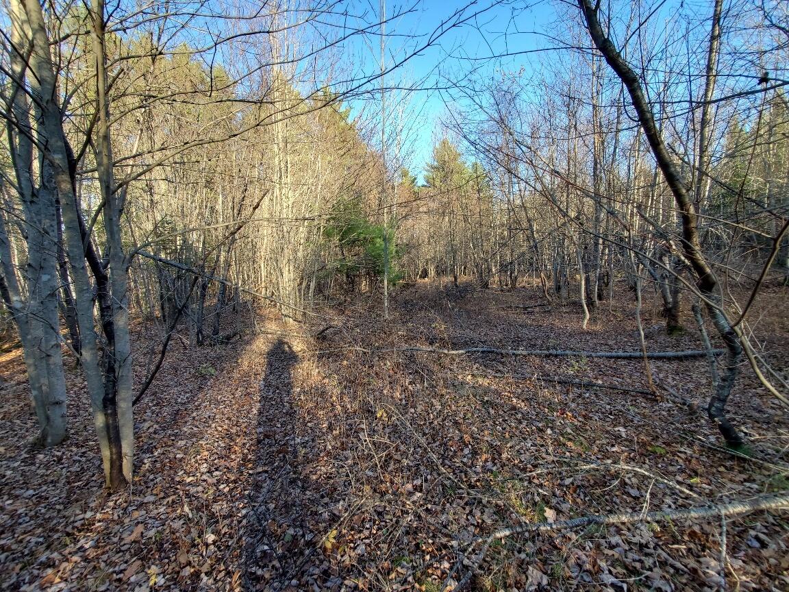 Lot 65-2 Ramsdell Ridge Road Milo, ME 04463 - Photo 12 of 26 20241103_145209_resized_1