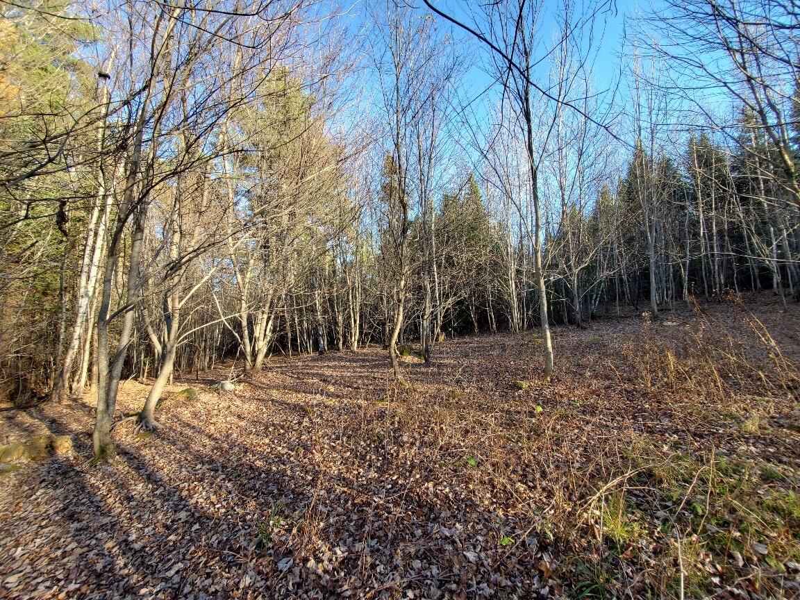 Lot 65-2 Ramsdell Ridge Road Milo, ME 04463 - Photo 14 of 26 20241103_145312_resized