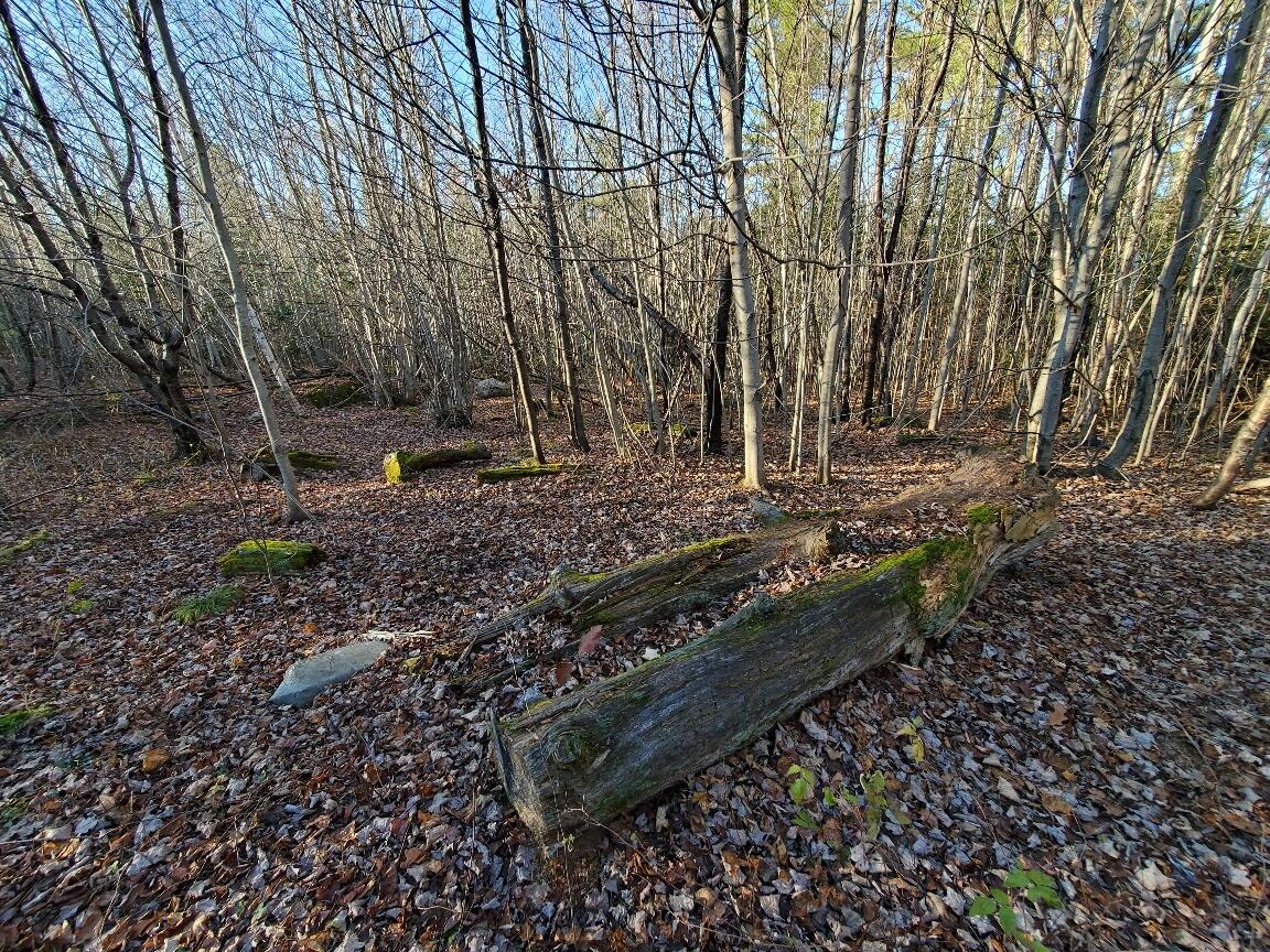 Lot 65-2 Ramsdell Ridge Road Milo, ME 04463 - Photo 15 of 26 20241103_145333_resized