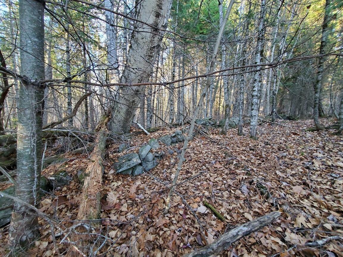 Lot 65-2 Ramsdell Ridge Road Milo, ME 04463 - Photo 19 of 26 stone wall westly side