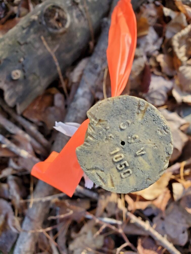 Lot 65-2 Ramsdell Ridge Road Milo, ME 04463 - Photo 2 of 26 east corner at road