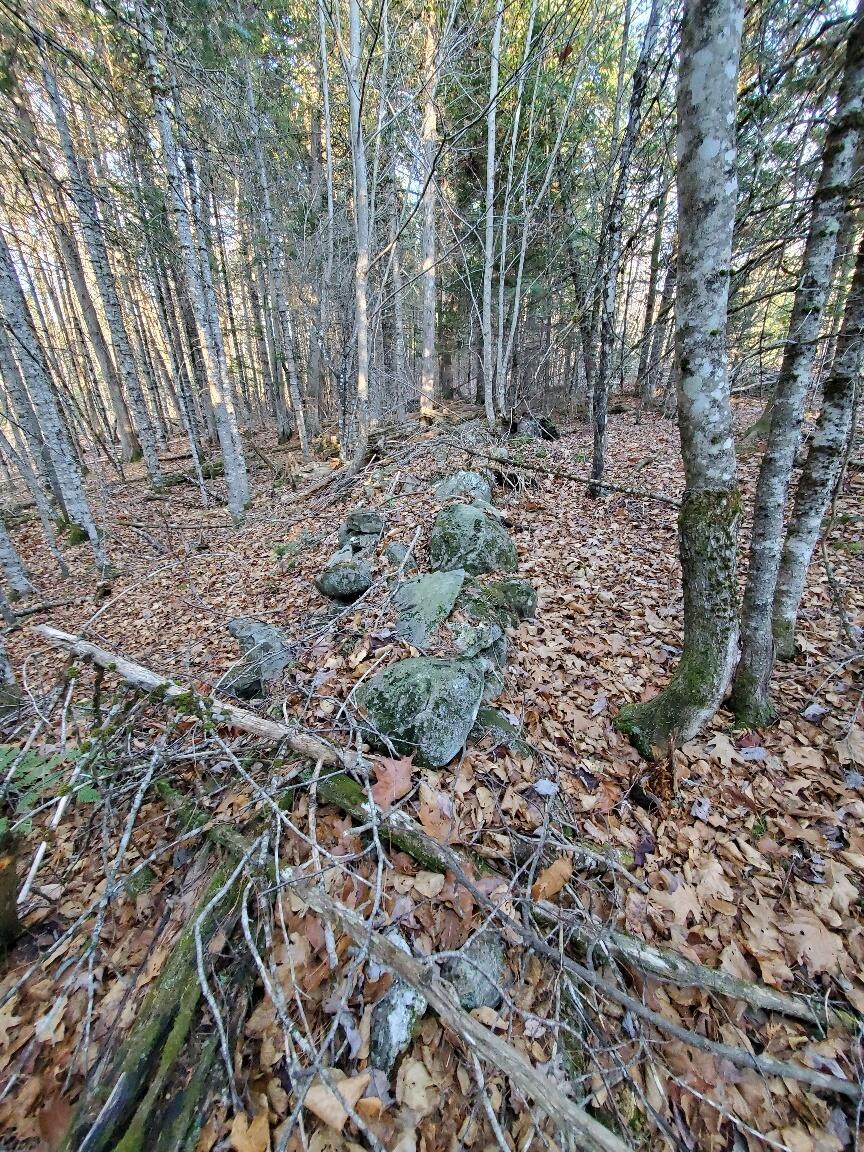 Lot 65-2 Ramsdell Ridge Road Milo, ME 04463 - Photo 21 of 26 stone wall west side
