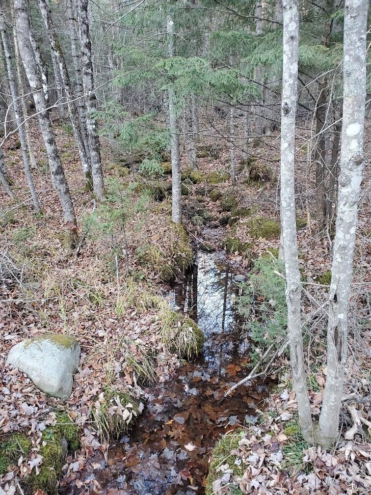 Lot 65-2 Ramsdell Ridge Road Milo, ME 04463 - Photo 23 of 26 small brook along west side