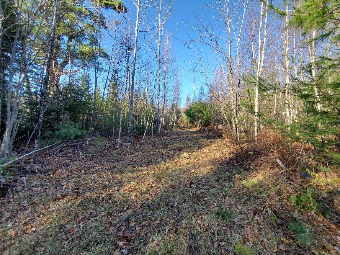 Lot 65-2 Ramsdell Ridge Road Milo, ME 04463 - Photo 5 of 26 headed up the drive