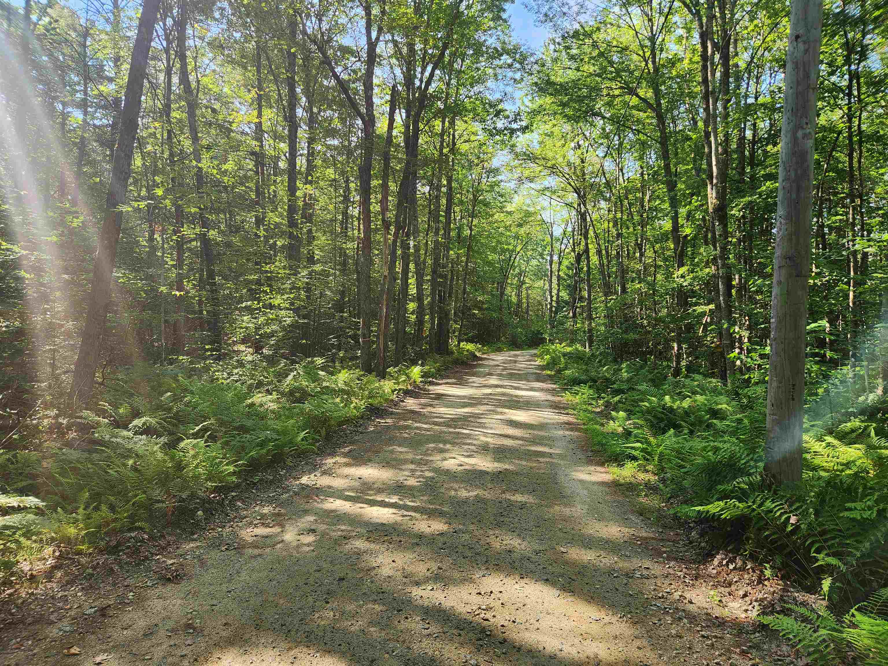Lot 18-1 Old Coach Road Fitzwilliam, NH 03447 - Photo 7 of 7