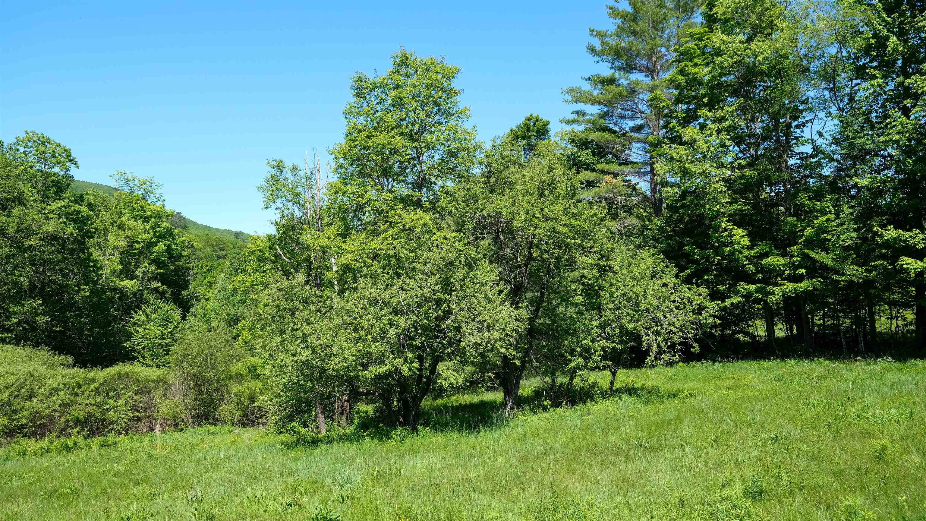 0 Rod And Gun Club Road, Unit 8 Ludlow, VT 05149 - Photo 13 of 27