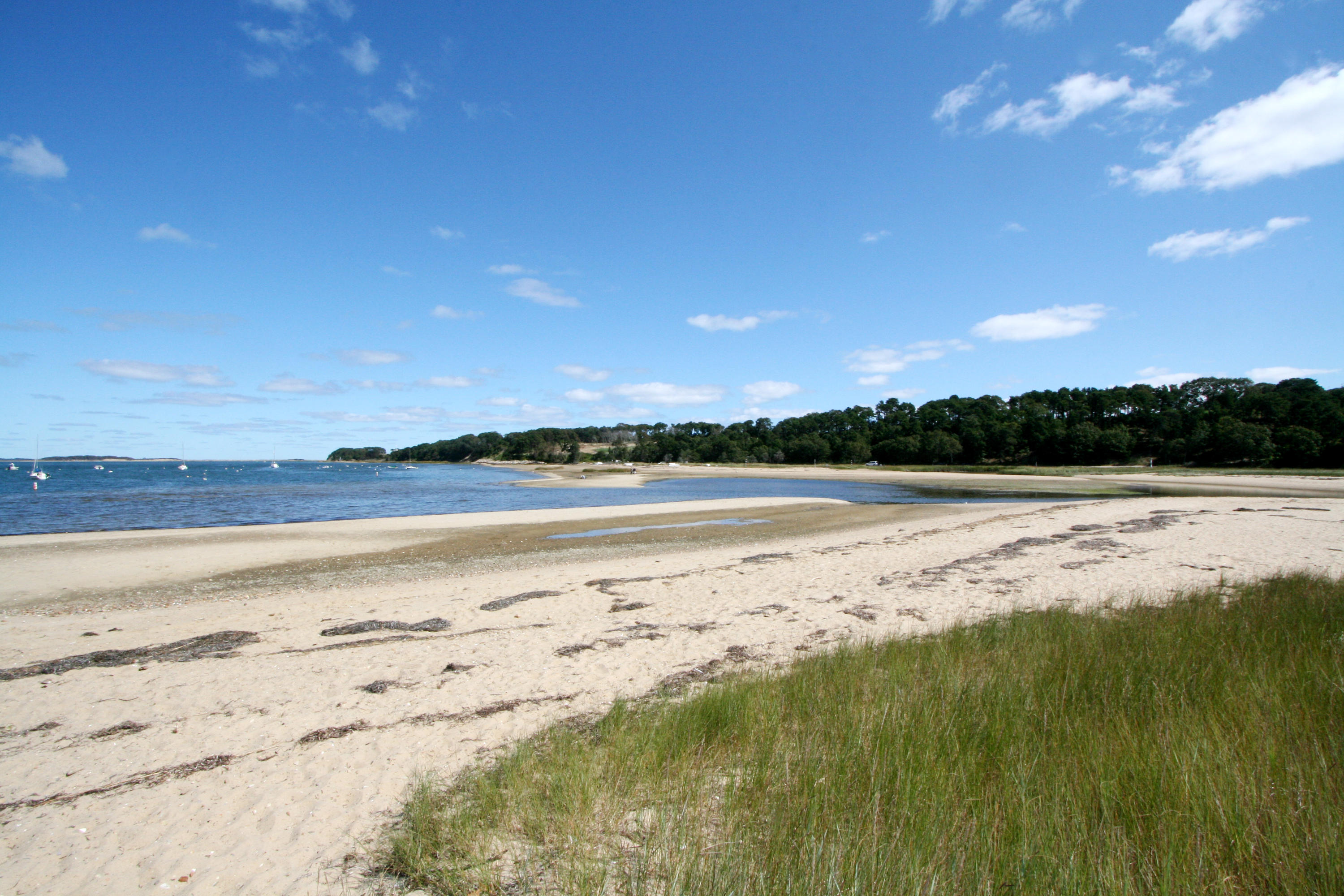 192 Round Cove Road Chatham, MA 02633 - Photo 24 of 27 IMG_1555