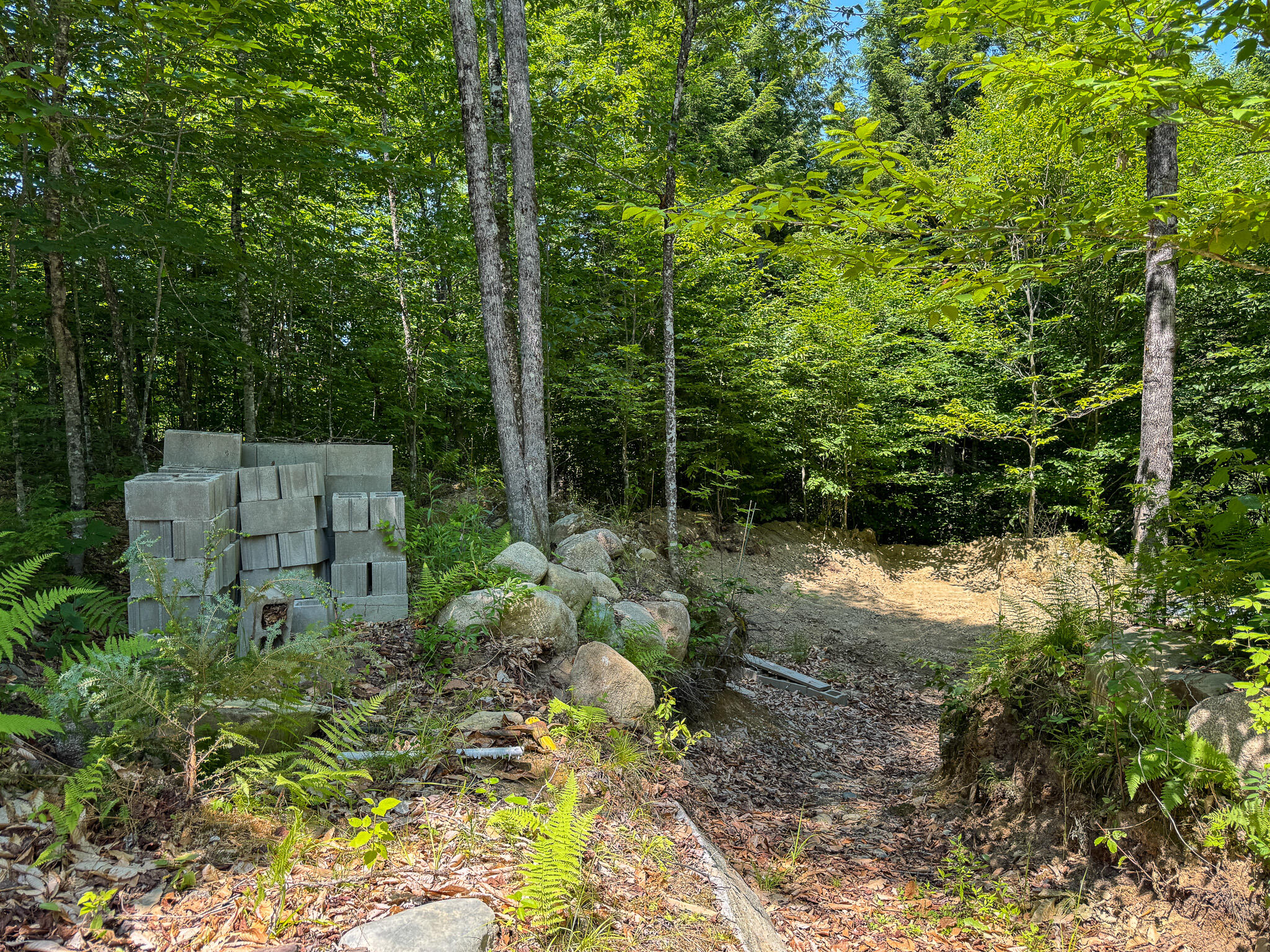 50 Wilderness Park Road Winn, ME 04495 - Photo 27 of 30 IMG_6814