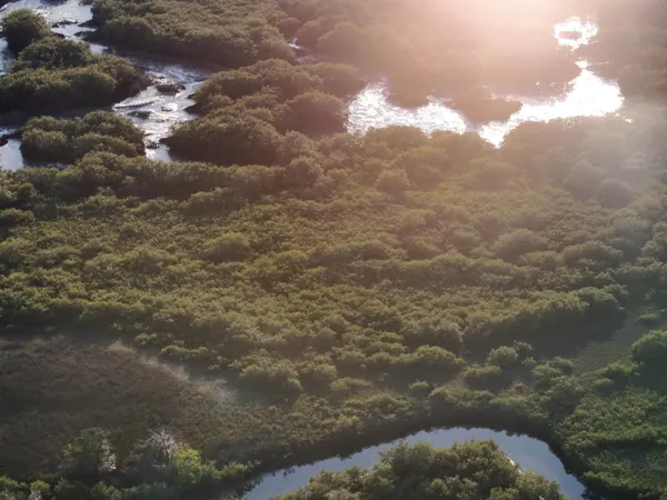 a black and white photo of a large building
