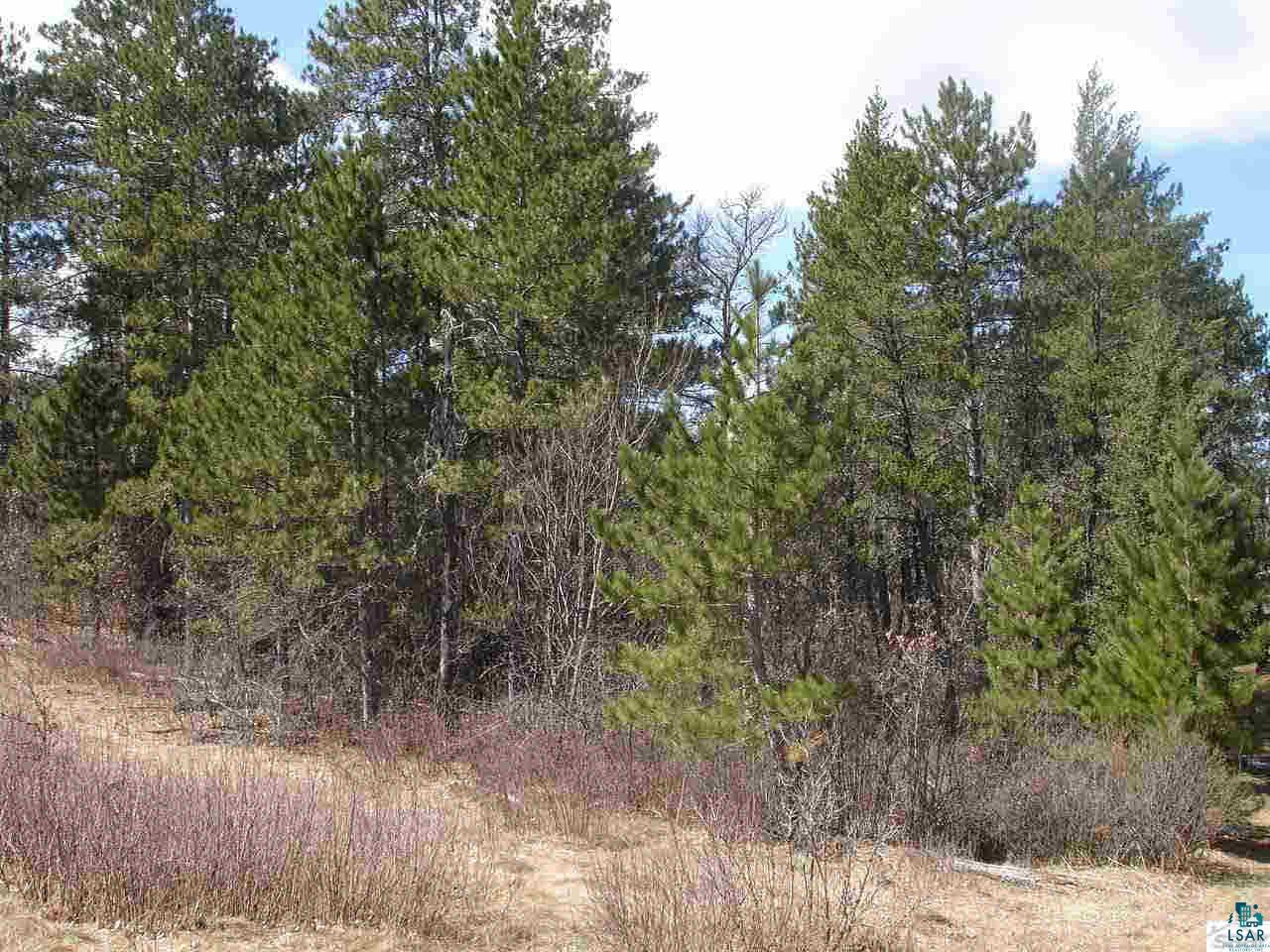 0 East Marshall Road Gordon, WI 54838 - Photo 1 of 1