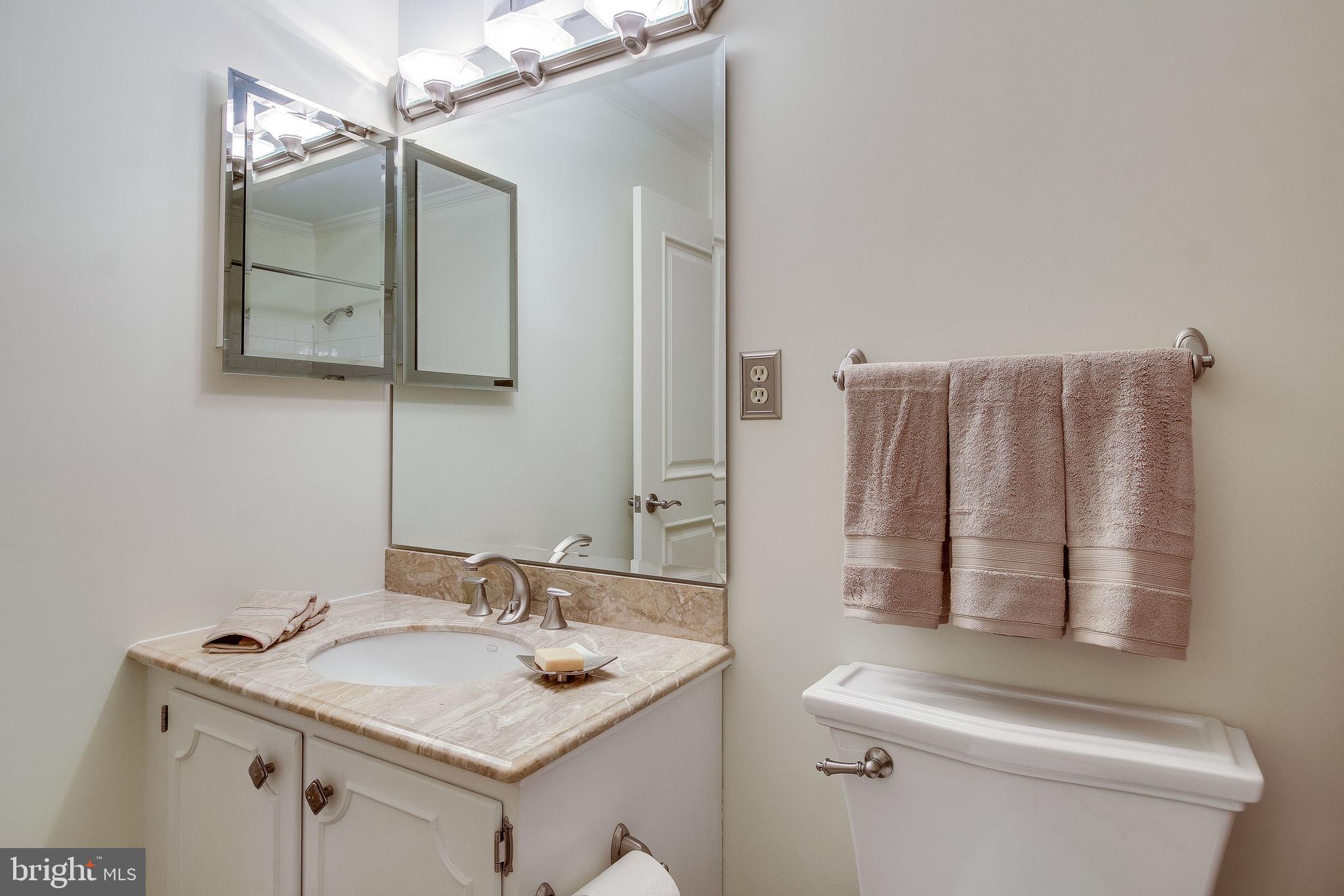 7323 Churchill Road McLean, VA 22101 - Photo 21 of 47 Hall Bath