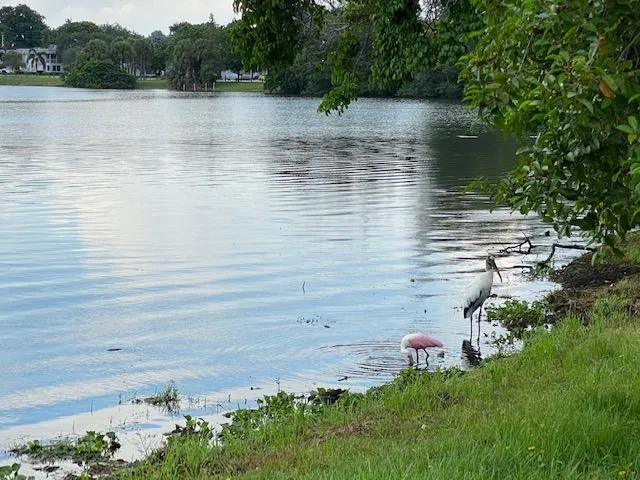 a view of a lake view