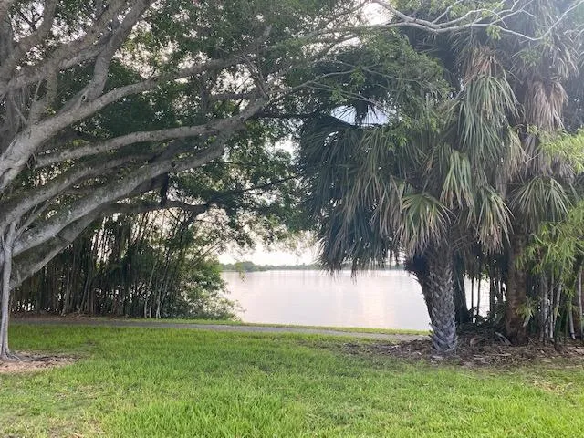 a view of a yard with a tree