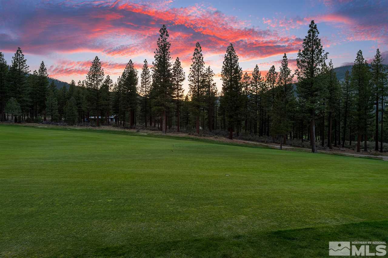249 Mill Race Loop Carson City, NV 89705 - Photo 4 of 40 a backyard of a house with lots of green space and mountain view