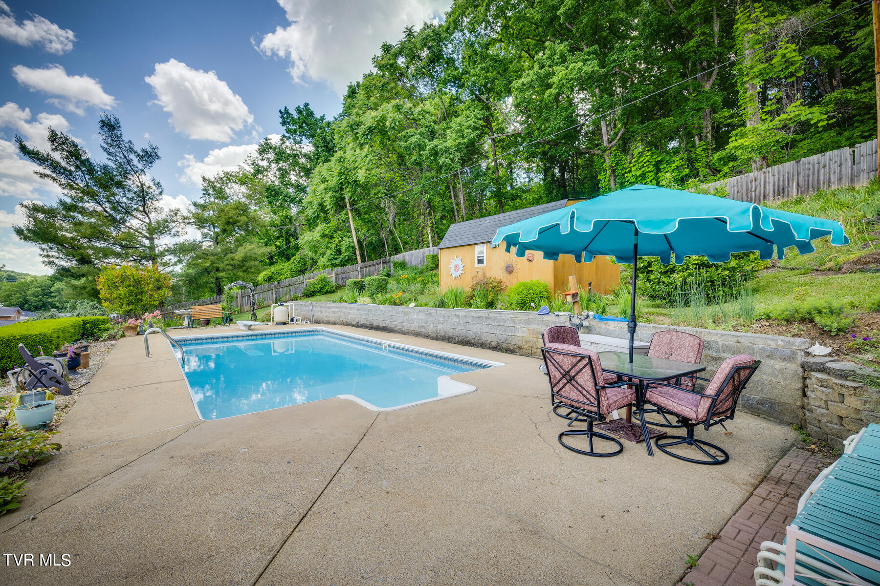 229 Hidden Acres Road Kingsport, TN 37664 - Photo 27 of 32 pool 1