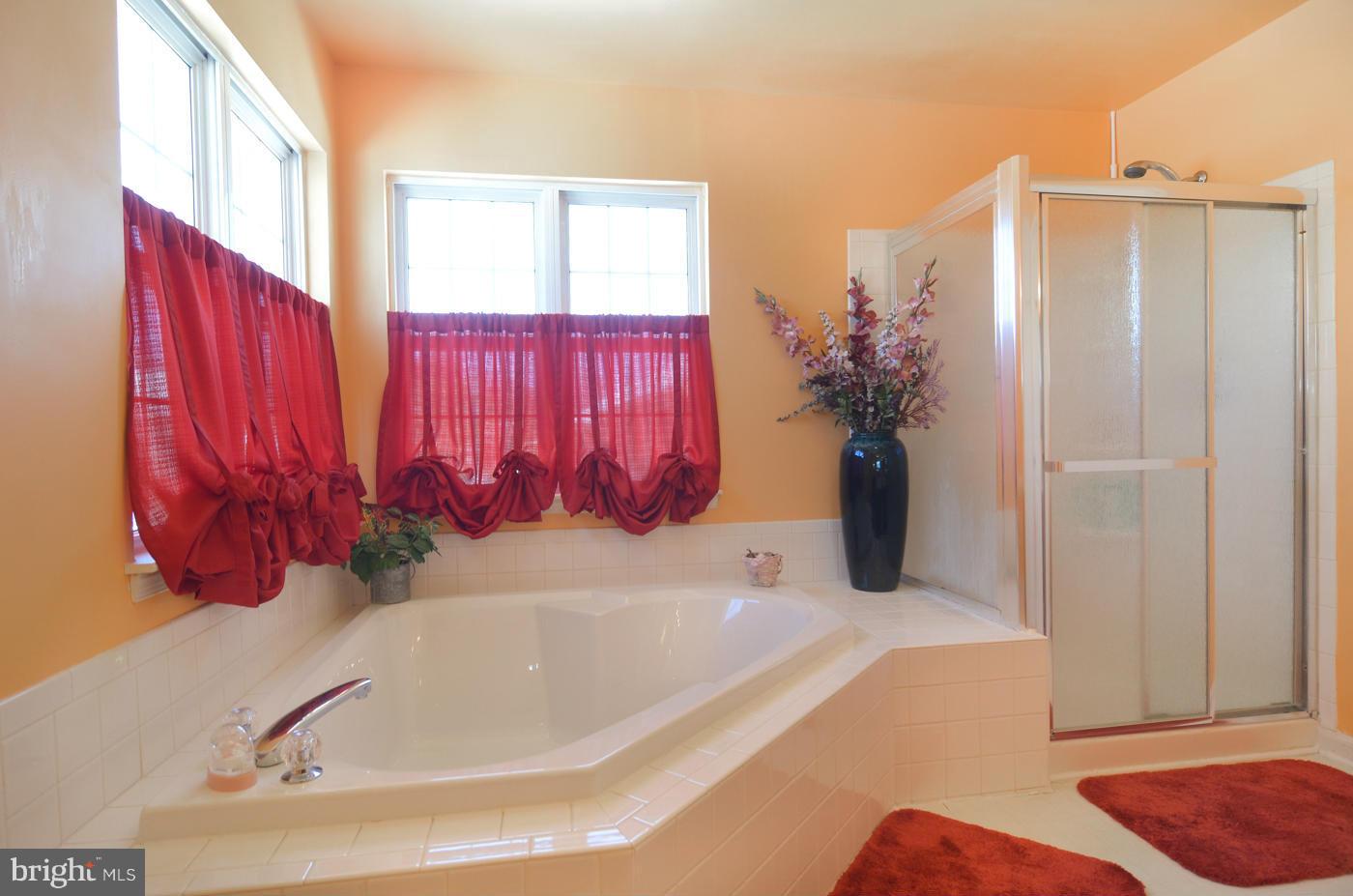 9600 Linden Wood Road Manassas, VA 20110 - Photo 17 of 30 Master Bath with Soaking Tub and Shower