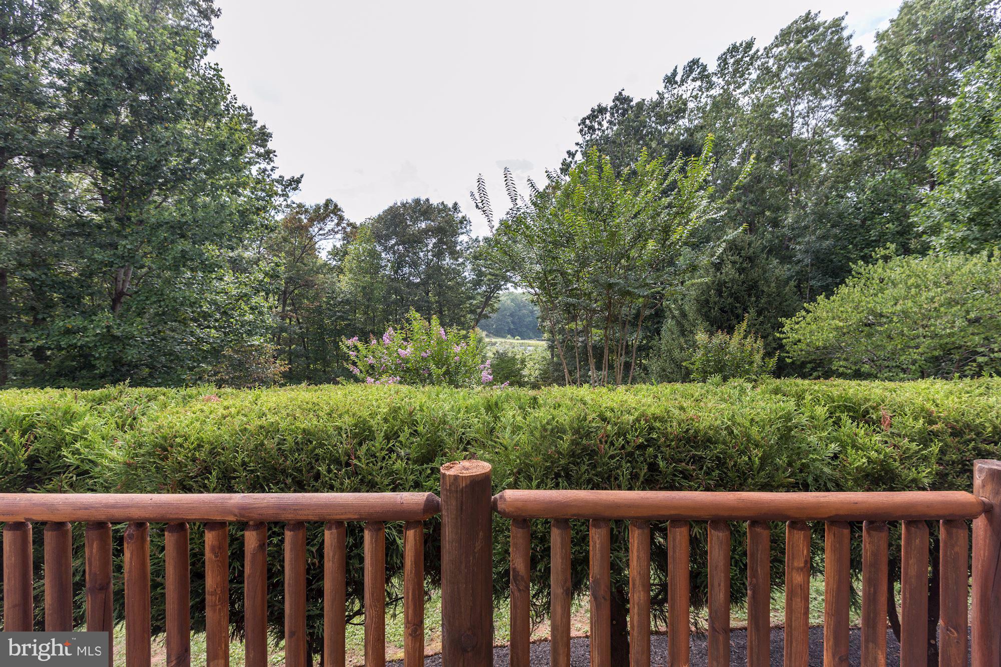 2169 Beaver Dam Road Midland, VA 22728 - Photo 3 of 71 Beautiful views!